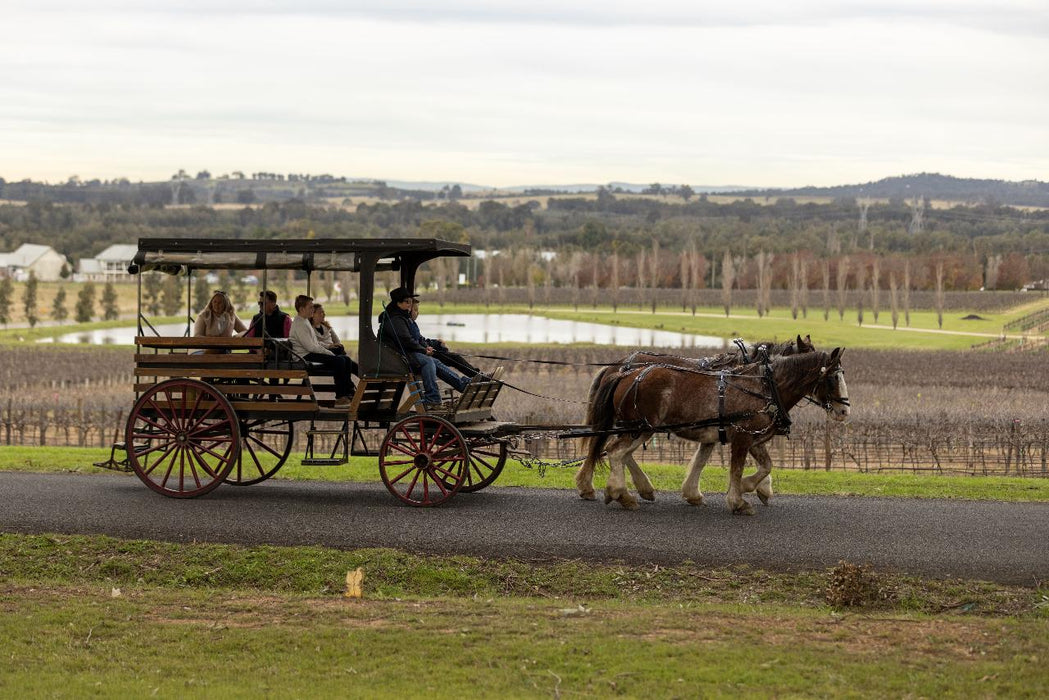 Taste The Valley - Full Day Horse Carriage Wine Tour With Lunch (Minimum 4 People )