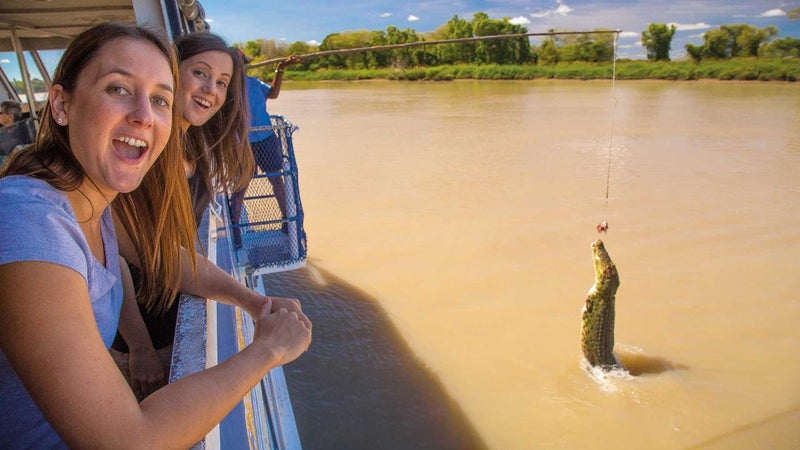 Aat Kings Jumping Crocs & Nature Adventure - We Wander