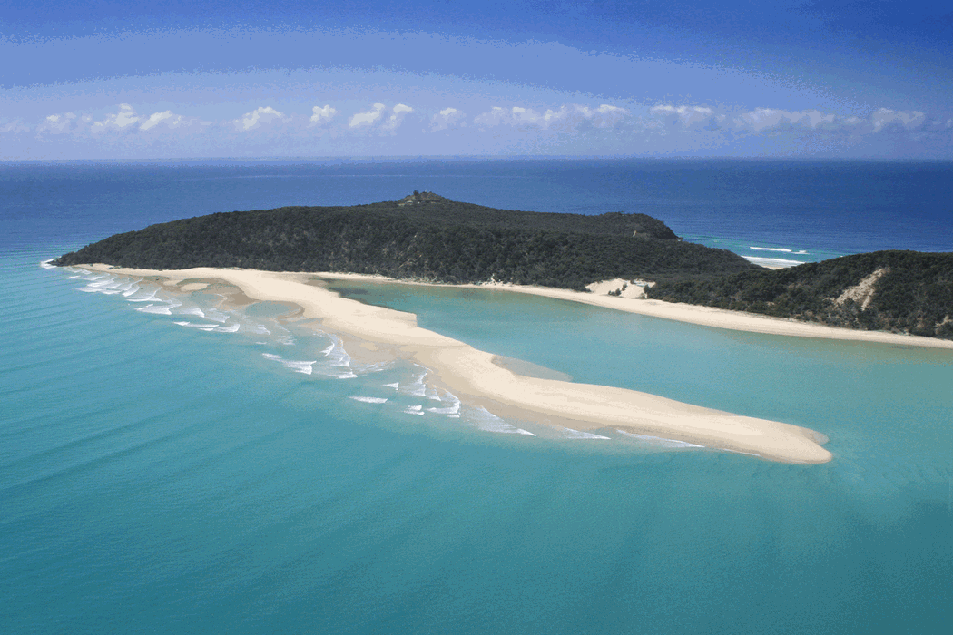 Learn To Surf Australia's Longest Wave + Great Beach Drive Adventure - Noosa Day Trip