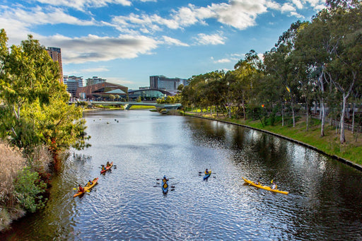 Adelaide City Kayak Tour - We Wander