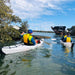 Adelaide Dolphin Sanctuary And Ships Graveyard Tour - We Wander