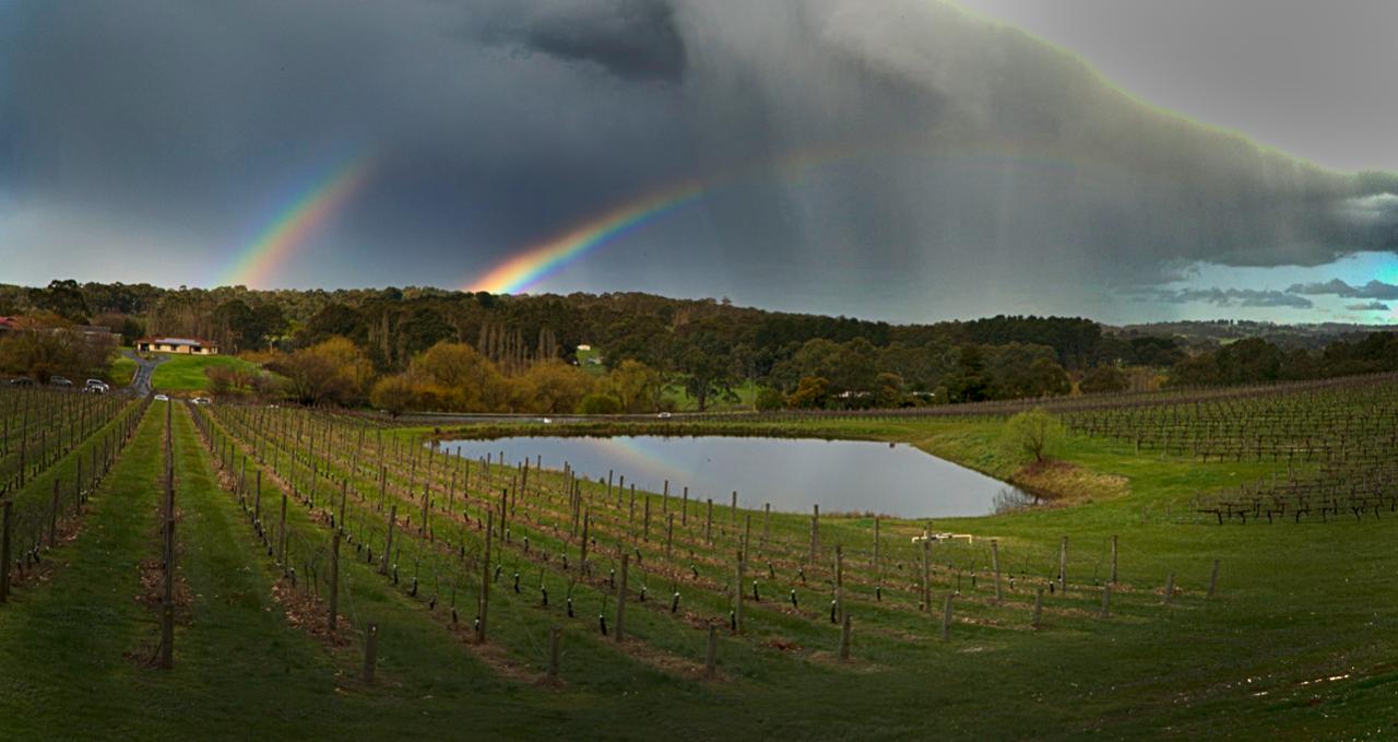 Adelaide Hills & Hahndorf Hideaway - We Wander