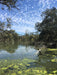 Australian Bush Delights - Hattah National Park Tour - We Wander