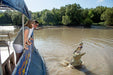 Autopia Tours: Jumping Crocodile Tour From Darwin - We Wander