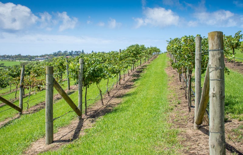 Winery & Waterfall Tour