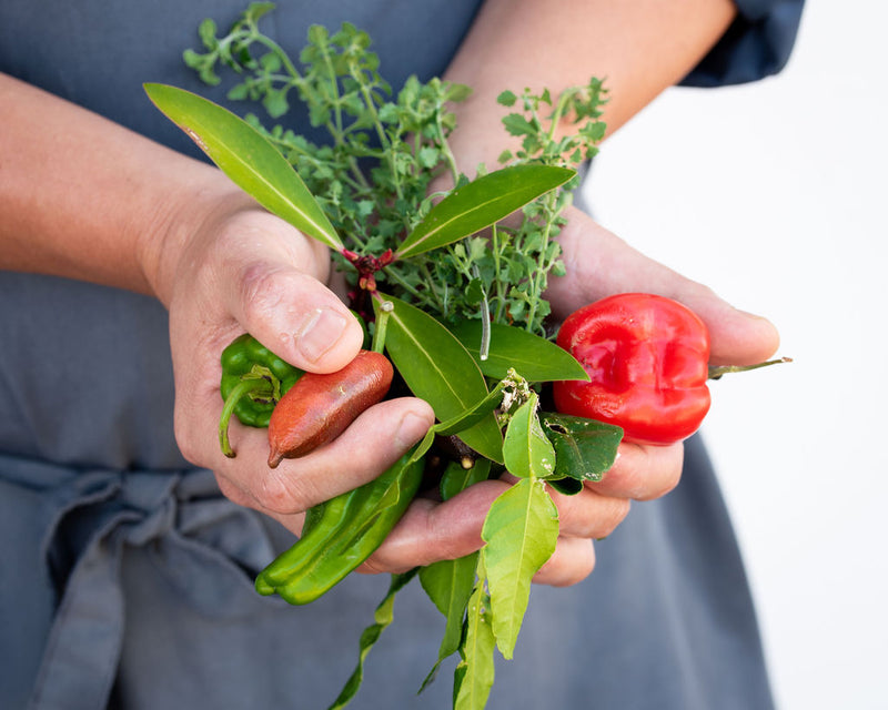 Cooking With Australian Ingredients Master Class