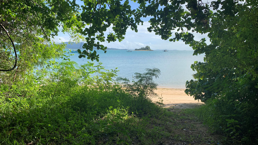 Dunk Island Adventures - Mission Beach Day Return