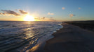 Beach & Forest Eco Adventure - We Wander