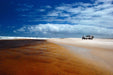 Beach & Forest Eco Adventure - We Wander