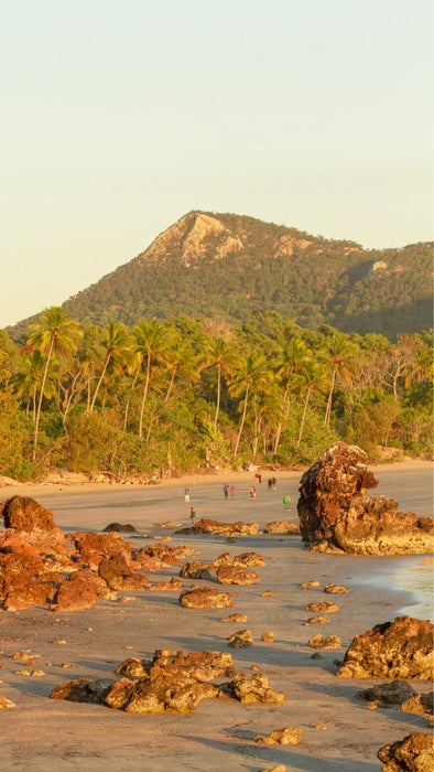 Beach Sunrise With The Wallabies - We Wander