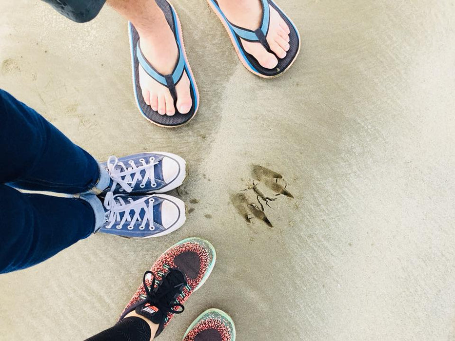 Beach Sunrise With The Wallabies - We Wander