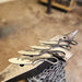 Beginner Blacksmith Blade Classes - Brisbane - We Wander