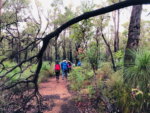 Bickley Valley Hiking Experience - We Wander