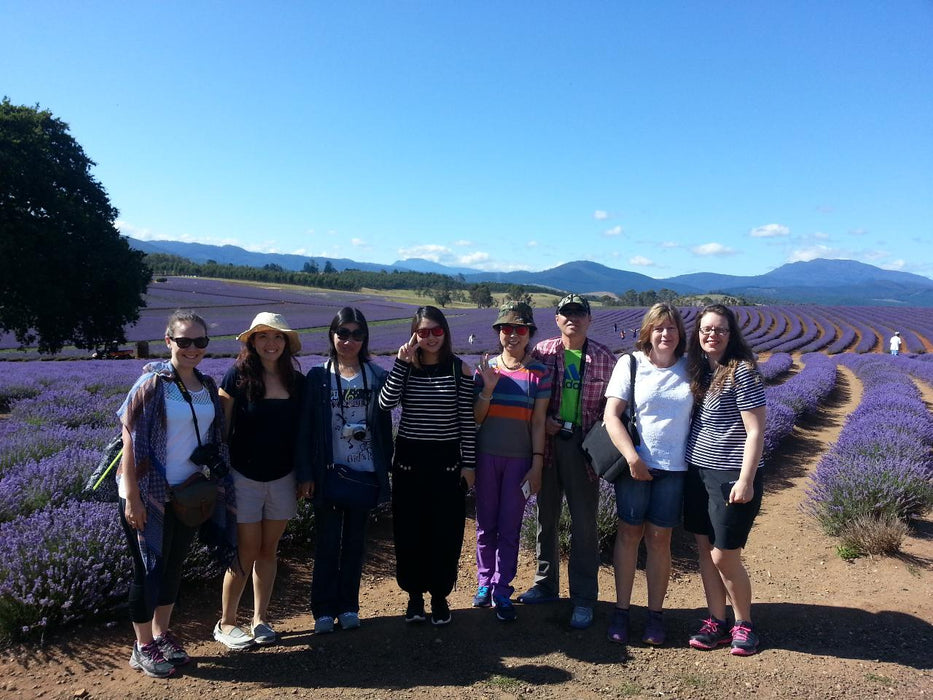 Bridestowe Lavender Farm Shuttle - We Wander