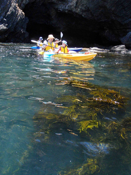 Glass Bottom Kayak Tour - Cullendulla Sanctuary