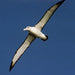 Bruny Island Cruises 3 Hour Wilderness Cruise - We Wander