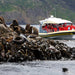Bruny Island Cruises Full Day Tour From Hobart - We Wander
