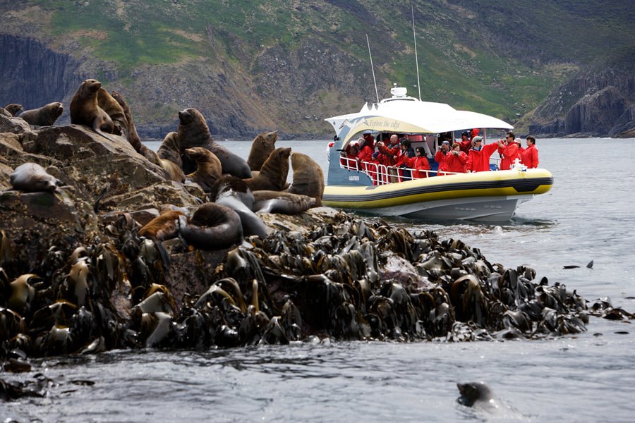 Bruny Island Cruises Full Day Tour From Hobart - We Wander