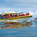 Bruny Island Cruises Full Day Tour From Hobart - We Wander
