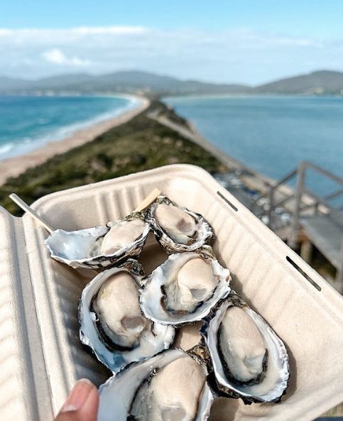 Bruny Island Day Tour - We Wander