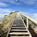 Bruny Island Day Tour - We Wander