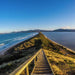 Bruny Island Day Tour - We Wander