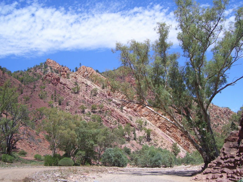 Bunyeroo & Brachina Gorges - We Wander