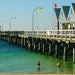 Busselton Jetty, Train Ride & Dolphin Discovery - We Wander