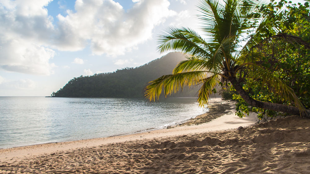 Dunk Island Adventures - Mission Beach Day Return