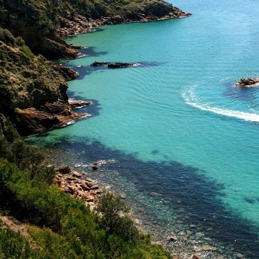 Cape Cruise - We Wander