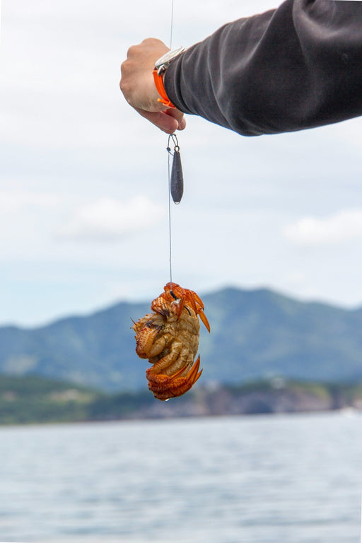 Catch A Crab Tour & Seafood Plate Lunch - We Wander