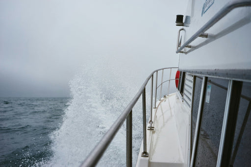 Catch A Crab Tour & Seafood Plate Lunch - We Wander