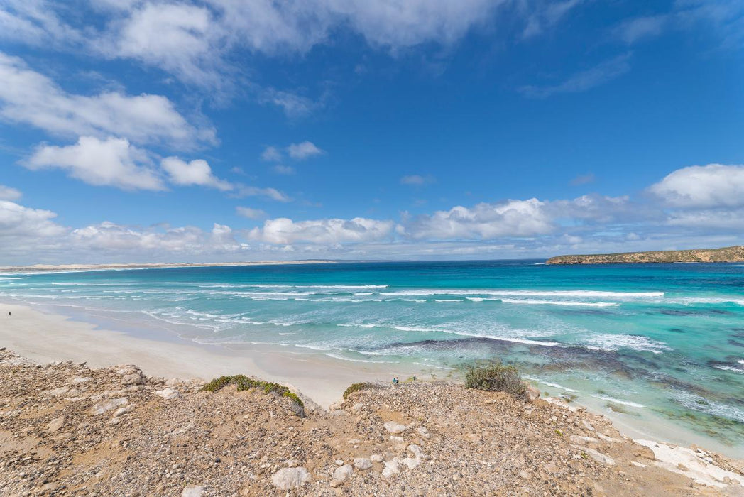 Coffin Bay - Oyster, Off - Road Sightseeing 4Wd Full - Day Tour - We Wander