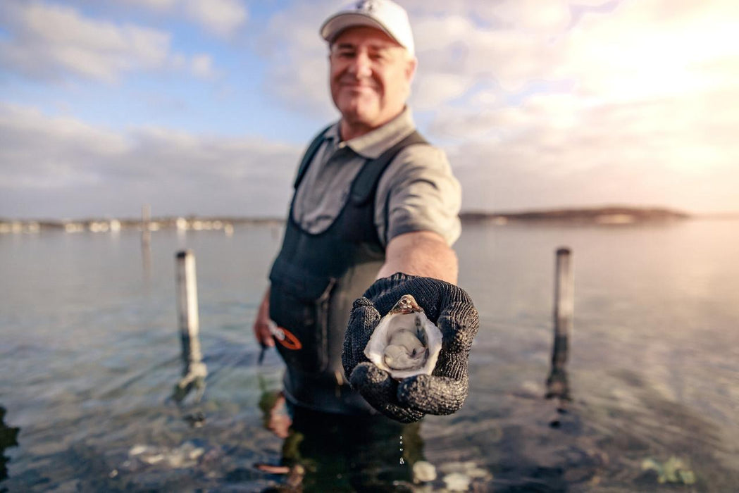 Coffin Bay - Oyster, Off - Road Sightseeing 4Wd Full - Day Tour - We Wander