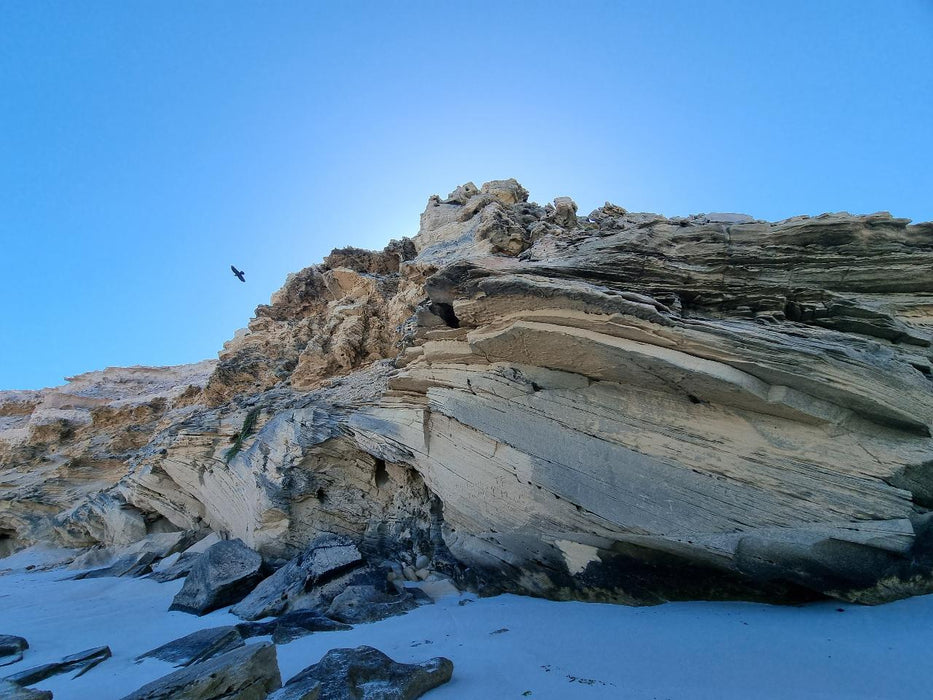 Coffin Bay - Oyster, Off - Road Sightseeing 4Wd Full - Day Tour - We Wander