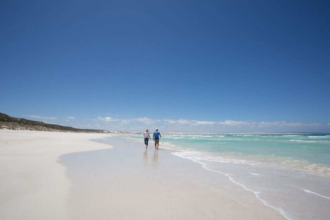 Coffin Bay Oysters, Ocean And Nature Tour - Full Day - We Wander