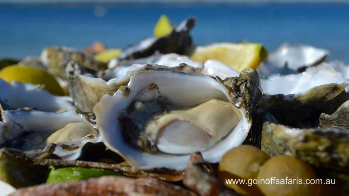 Coffin Bay Oysters, Ocean And Nature Tour - Full Day - We Wander