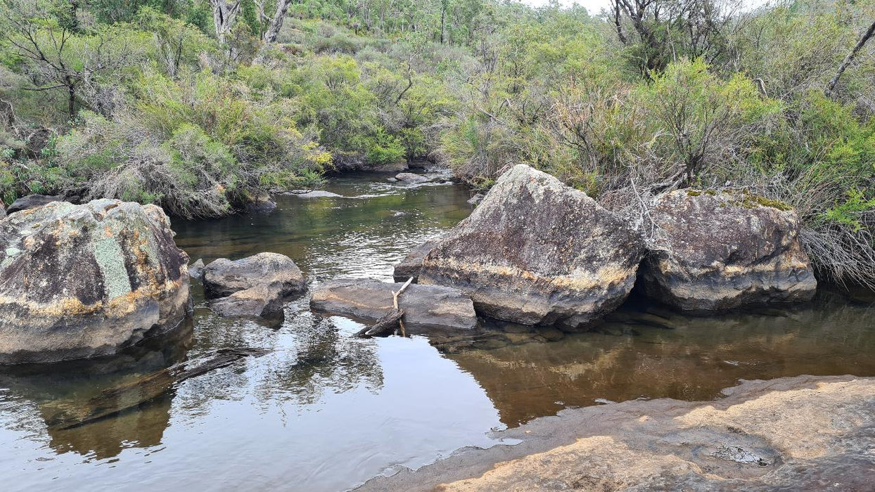 Collie Hike, Wine & Dine Experience - We Wander