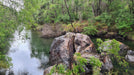 Collie | Hike, Wine & Dine Experience - We Wander