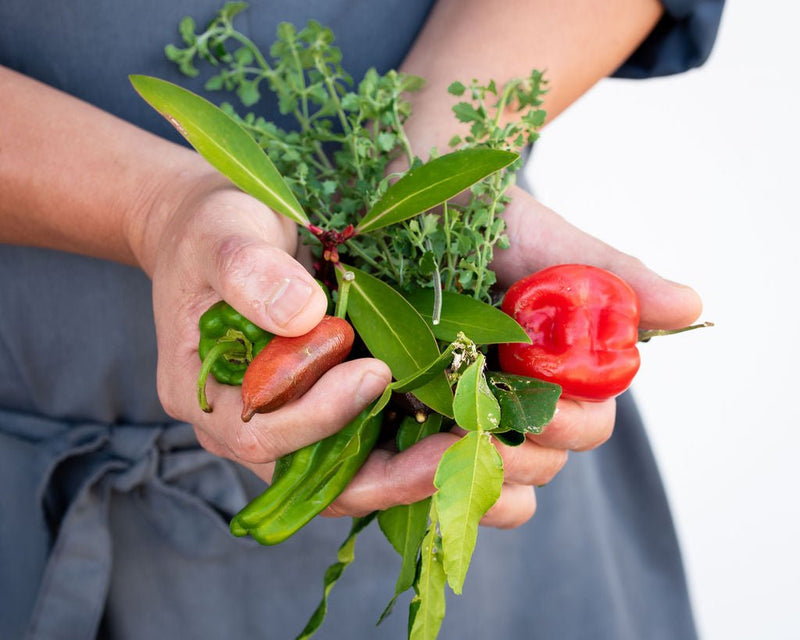 Cooking With Australian Ingredients Master Class - We Wander