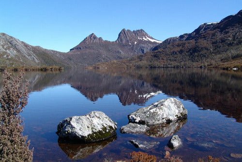 Cradle Mountain Day Tour - We Wander