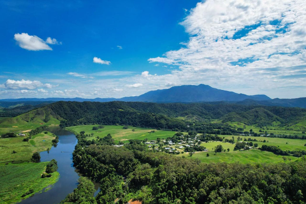 Crocodile Express Daintree Rainforest & Wildlife Cruise From Daintree Ferry Gateway - We Wander