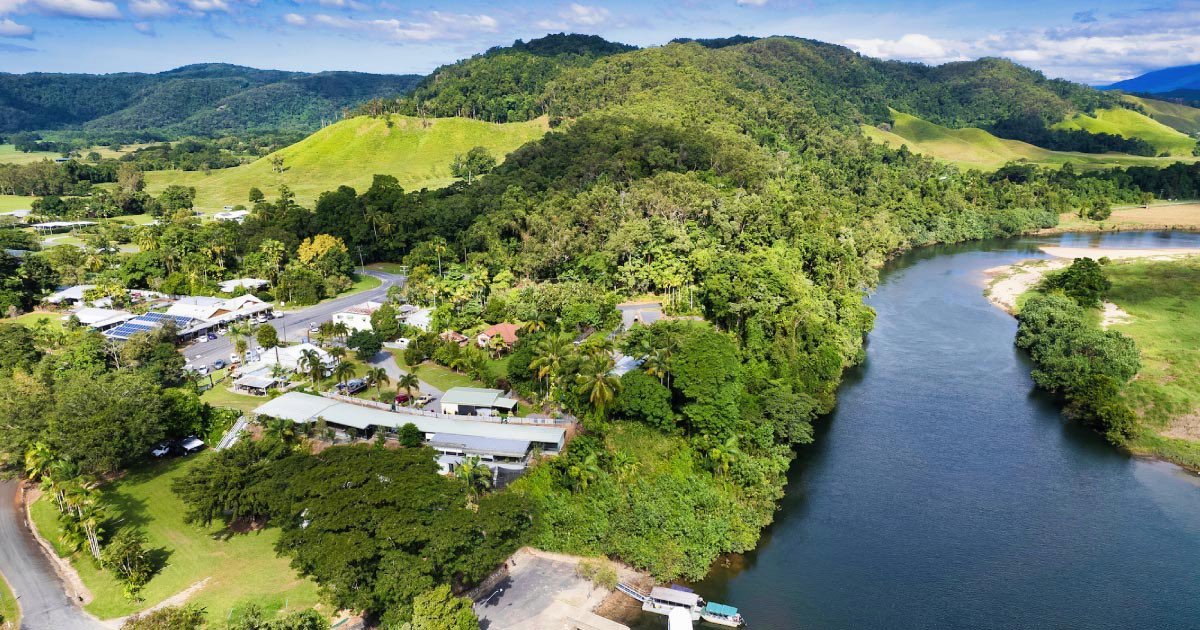 Crocodile Express Daintree Rainforest & Wildlife Cruise From Daintree Village - We Wander