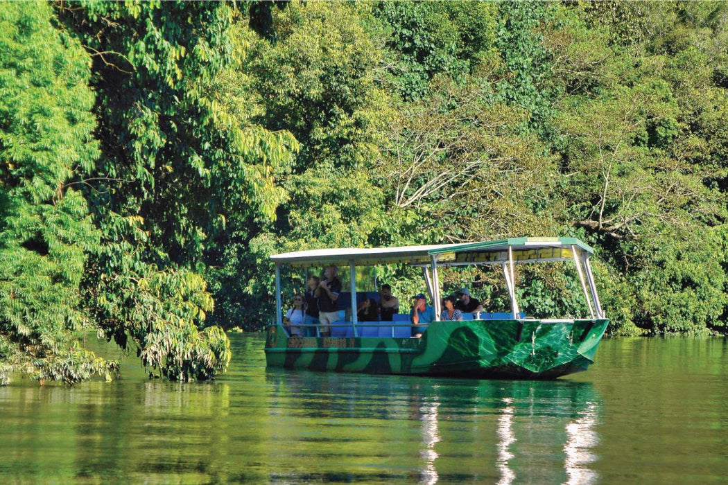 Crocodile Express Daintree River Cruise Daintree Village & Daintree Discovery Centre Unlimited Pass - We Wander