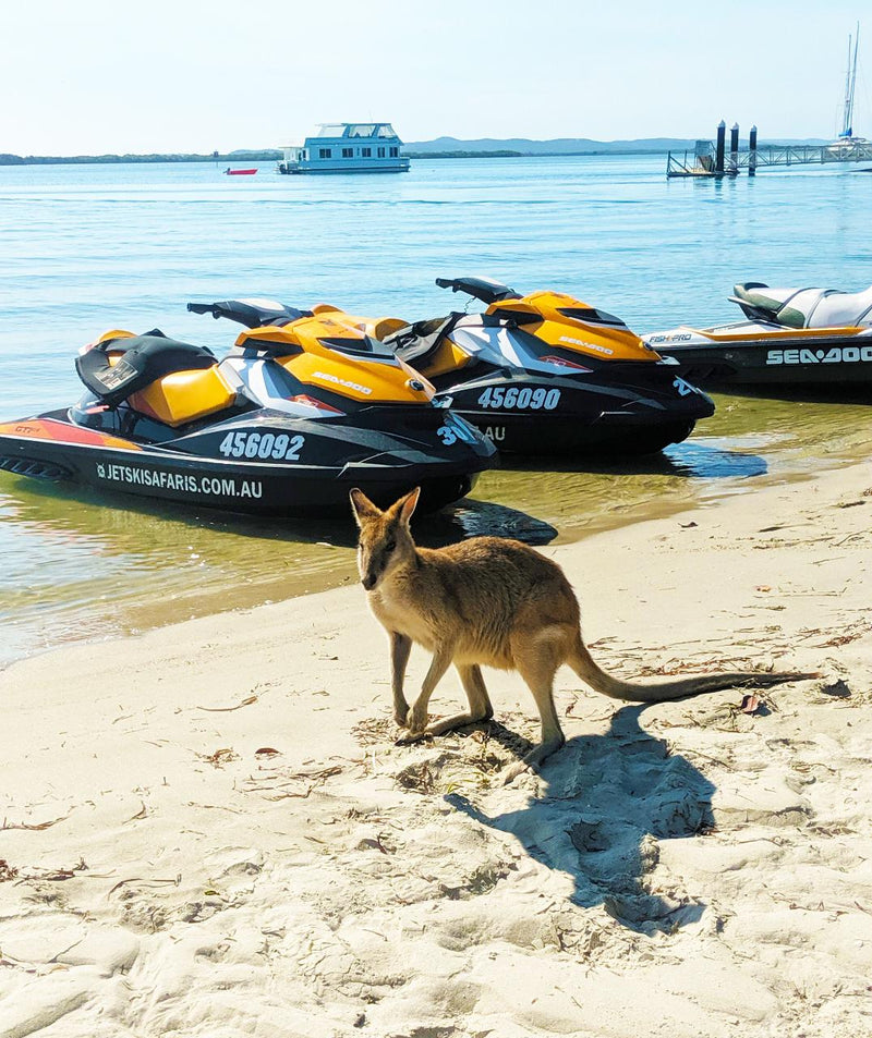 Weekend Breakfast Safari With Extended Island Stop - 1.5 Hour Jet Ski Safari