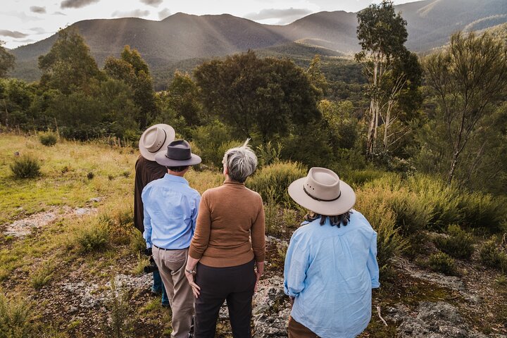 Best Of Wildlife And Birds Tour - Canberra