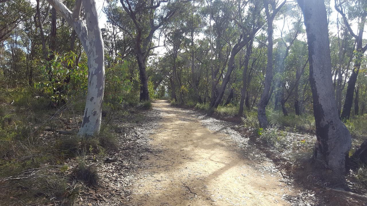 E- Bike (Electric) Guided Tour - Half Day - Hanging Rock - Blackheath