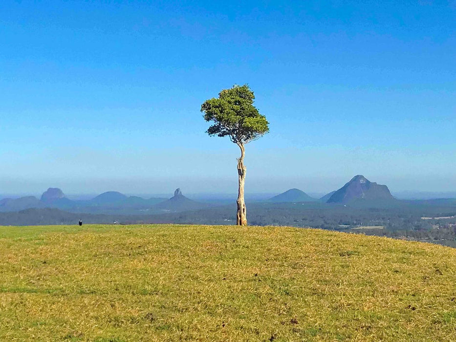 Maleny And Montville Tour With Artisan Village, Chocolate And Wine Tasting