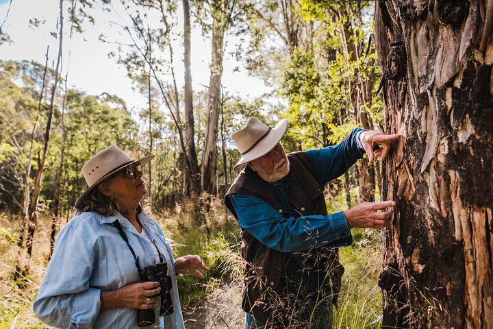 Best Of Wildlife And Birds Tour - Canberra