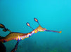 Discover Scuba Dive - We Wander